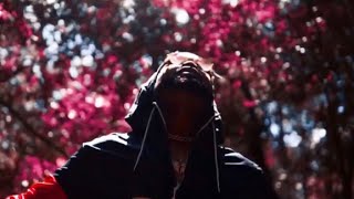 Round II Music Video