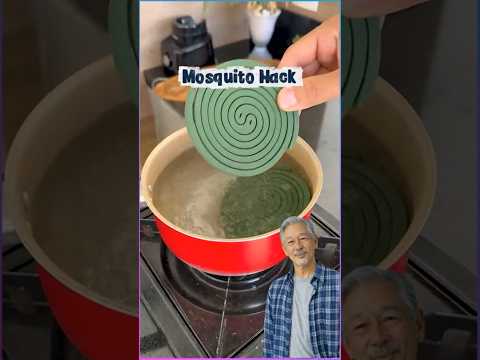 Boil a Mosquito Coil? This Actually Works! 😳 #mosquitohack #diy #hometips #cloves #usa