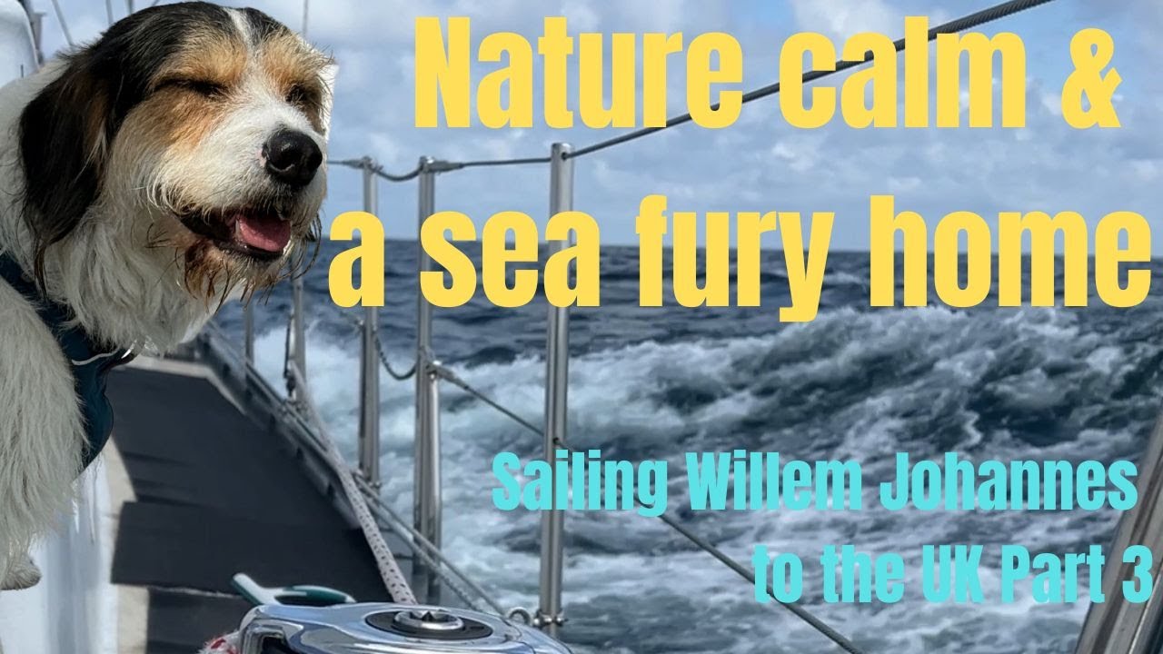 Nature Calm & Sea Fury | sailing in the UK (step 45)