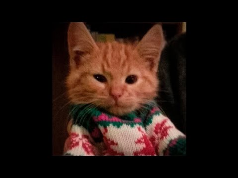 [free] acoustic / christmas indie type beat ~ "next christmas"