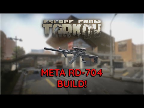 Meta RD-704 Build! (Escape From Tarkov)