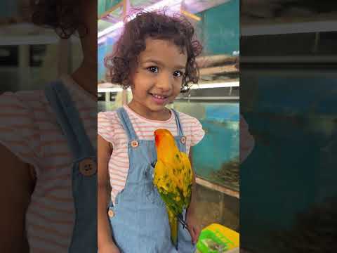 മീനിനെ ഇട്ടു 🥰 #fishingfreaks