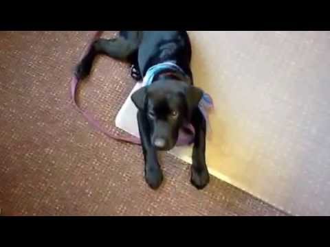 Ariadne and the down command