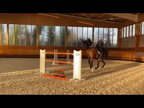 Calox - Karlswood (Dec 6)