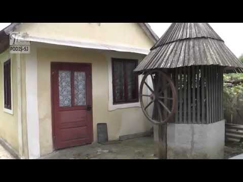 PODIȘ-SJ (2016) - Minerva GLIGA