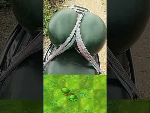 Most similar plant#pvz #pvzfusion