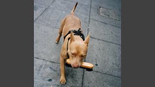 Worth It (feat. Fantasy Camp &amp; Darcy Baylis)