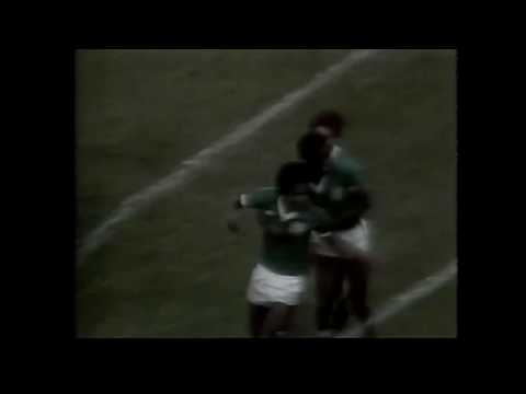 Portuguesa 0x3 Palmeiras (21/09/1980) - Paulistão 1980