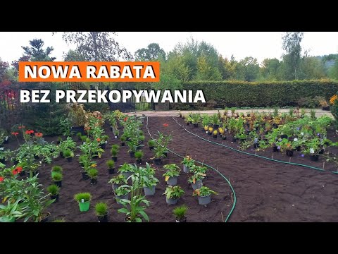 Nowa rabata. Bez przekopywania. Przygotowanie gleby. No dig.
