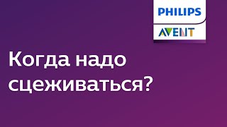 Как сцедить грудное молоко молокоотсосом ручным