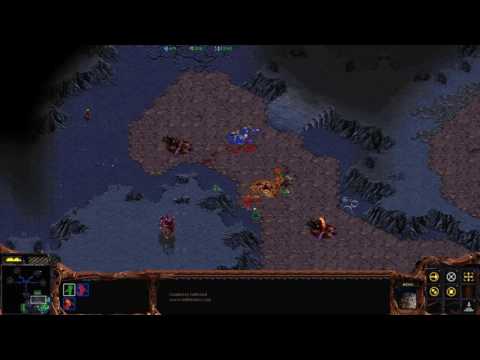 StarCraft: Brood War - Chapter VI / Zerg - Mission 7 - Drawing of the Web