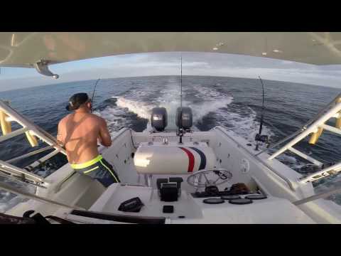 Fishing Kingfish Part 5