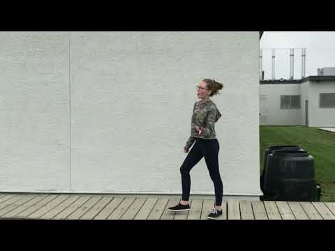 The Schuyler sisters | Hamilton music video