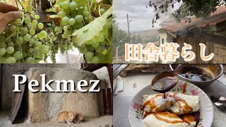 トルコの田舎暮らし〜ペクメズ作り体験〜