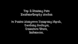 preview picture of video 'Trip & Hunting Foto Zenfonegraphy Medan to Pantai Mangrove Kampung Nipah, Sedang Bedagai, SUMUT.'