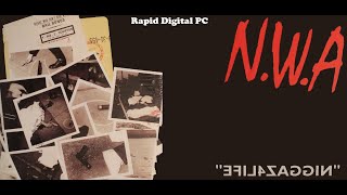 NWA - Niggaz 4 Life - Real Niggaz Don&#39;t Die - Vinyl 1991