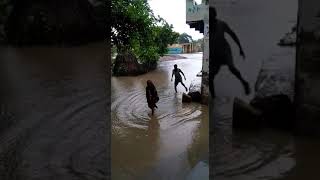 preview picture of video 'Heavy rain in mehgaon dust Bhind (baghel muhalla ward 14)'