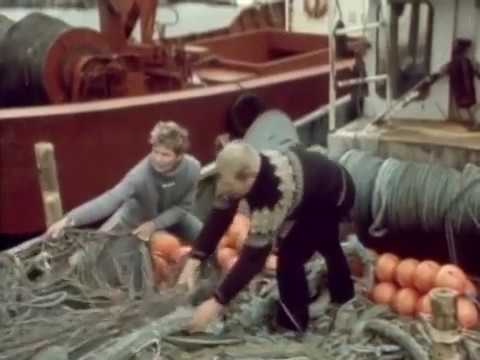 Perämeren viimeiset ammattikalastaja  peltimopo pikku trooli 1985 07 26