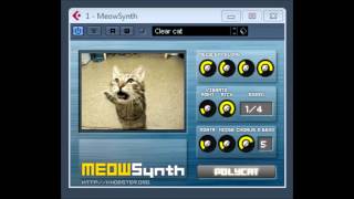 Meow Synth by Knobster