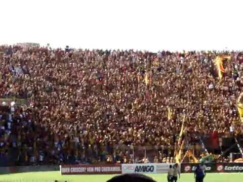 INFERNO CORAL cala a jovem no chiqueirão