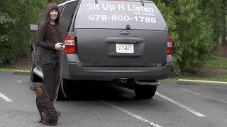 Download Lagu Puppy Training, Kona, Boykin Spaniel, Day 13: Off Leash Recall Soccer Field Thumbnail