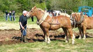 preview picture of video 'TREOUERGAT 2009 - Fête du cheval : labours à l'ancienne'