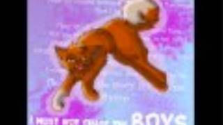 squirrelflight is waiting for the sun to shine