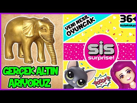 Sis Surprise Oyuncak Gerçek Altın Arıyoruz Sis Köyü 4 Dila Kent Video