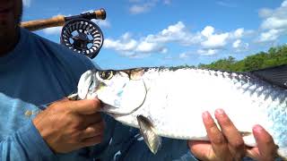 Taylor Fly Fishing Revolution Z