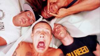 Red Hot Chili Peppers - Rolling Sly Stone (live)