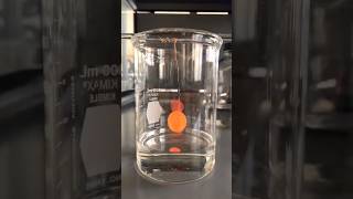 A Weird Thing that Pennies Do with Acetone