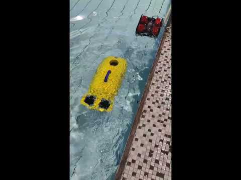 AUV Real-world Tracking