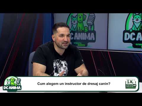 Youtube video image