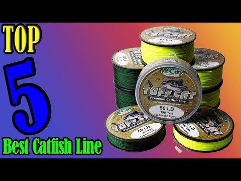 Catfish Line: Best Fishing Line For Catfish: Buying Guide & Reviews For 2022