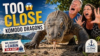 We Got WAY Too Close to Komodo Dragons 😱 