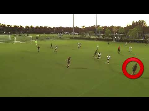 Highlight Video