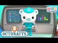Octonauts Creature Report Compilation Wizz Cartoons