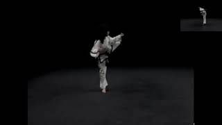 Moon-Moo