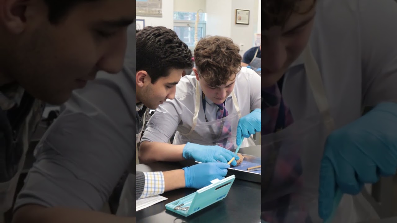 Hands-on Science Labs!