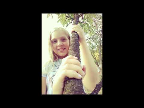 PET POLJUBOV - Zala Markelj (cover)