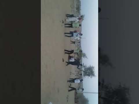 Nangaram tard nimble Kot 7229918882