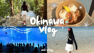 【沖縄 vlog2🐬♡】家族旅行で冬の沖縄に行ってきた🫧✩‧₊#vlog #沖縄  #沖縄旅行 #okinawa 