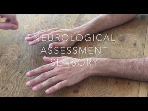 Hand and Wrist Examination for Healthcare professionals