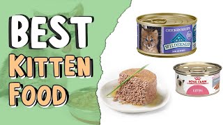 Top 5 Best Kitten Food  | Do Kittens Need Wet and Dry Food ?