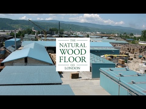 Romanian Factory Expansion