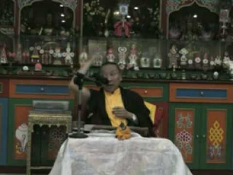 Killing and Vegetarian