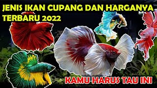 Download lagu JENIS IKAN CUPANG DAN HARGANYA TERBARU  | PECINTA IKAN HIAS WAJIB NONTON! mp3