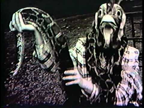 Sweaty Nipples 'Chickensnake' video