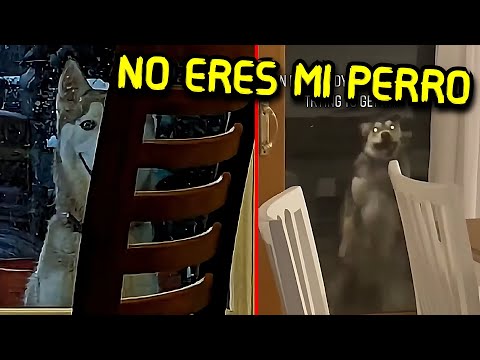 That thing is NOT my dog