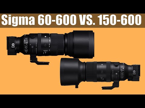 Sigma 60-600mm DG DN - Geeignet für die Wildlifefotografie? Gedanken und Vergleich mit dem 150-600.